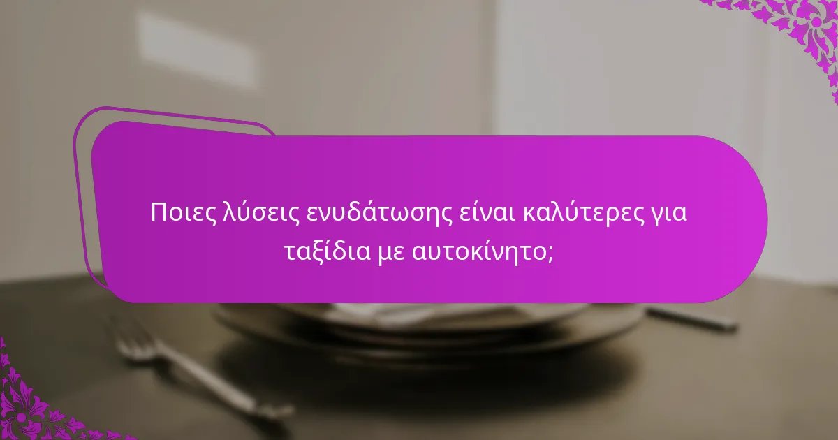 Ποιες λύσεις ενυδάτωσης είναι καλύτερες για ταξίδια με αυτοκίνητο;